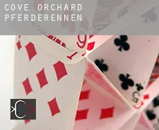 Cove Orchard  Pferderennen