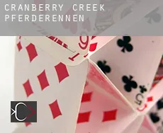 Cranberry Creek  Pferderennen