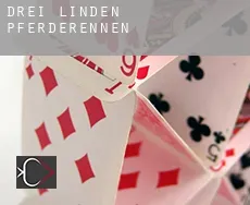 Drei Linden  Pferderennen