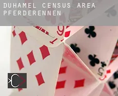 Duhamel (census area)  Pferderennen