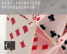 East Grinstead  Pferderennen