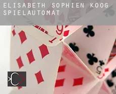 Elisabeth-Sophien-Koog  Spielautomat