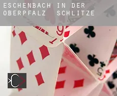 Eschenbach in der Oberpfalz Schlitze