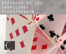 Espinosa de los Caballeros Pferderennen