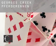Georges Creek  Pferderennen