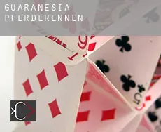 Guaranésia  Pferderennen