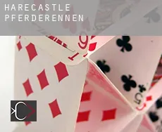 Harecastle  Pferderennen