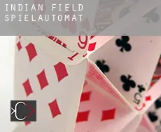 Indian Field  Spielautomat