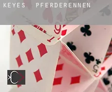 Keyes  Pferderennen