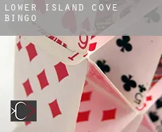 Lower Island Cove  Bingo