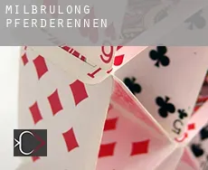Milbrulong Pferderennen