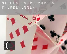 Milles de la Polvorosa Pferderennen