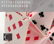 Pittrichsberg  Pferderennen