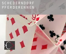 Schederndorf Pferderennen