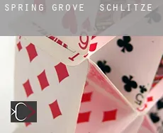 Spring Grove  Schlitze