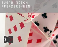 Sugar Notch  Pferderennen