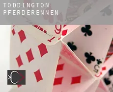 Toddington  Pferderennen