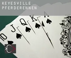 Keyesville  Pferderennen