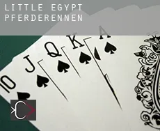 Little Egypt  Pferderennen