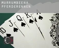 Murrumbeena Pferderennen