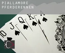 Piallamore  Pferderennen