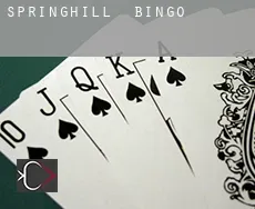 Springhill  Bingo