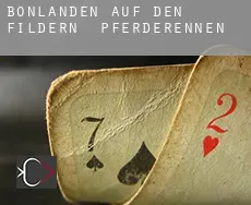 Bonlanden auf den Fildern Pferderennen