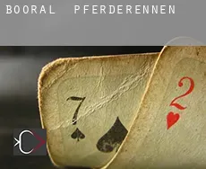 Booral  Pferderennen