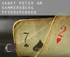 Sankt Peter am Kammersberg  Pferderennen