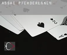 Assaí Pferderennen