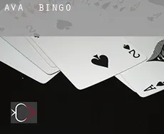 Ava  Bingo