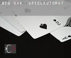 Big Oak  Spielautomat