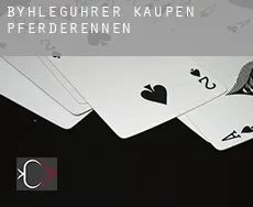 Byhleguhrer Kaupen  Pferderennen