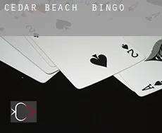 Cedar Beach  Bingo