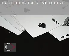 East Herkimer  Schlitze