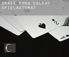 Grass Pond Colony  Spielautomat