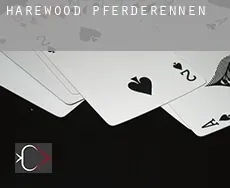 Harewood  Pferderennen