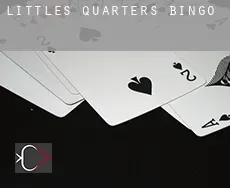 Littles Quarters  Bingo