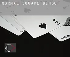 Normal Square  Bingo