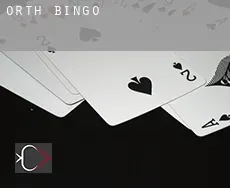Orth  Bingo