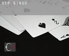 Sip  Bingo