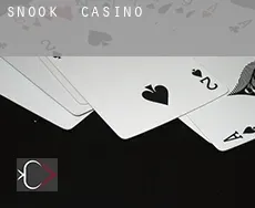 Snook  Casino