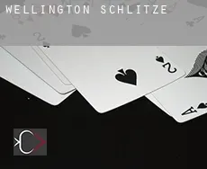Wellington  Schlitze