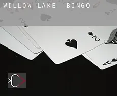 Willow Lake  Bingo