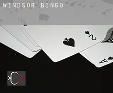 Windsor  Bingo