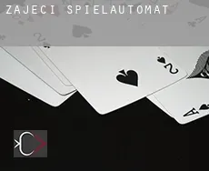 Zaječí Spielautomat