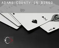 Adams County  Bingo