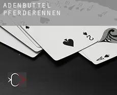 Adenbüttel  Pferderennen