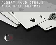 Albert-Naud (census area)  Spielautomat