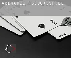 Ardnaree Glücksspiel